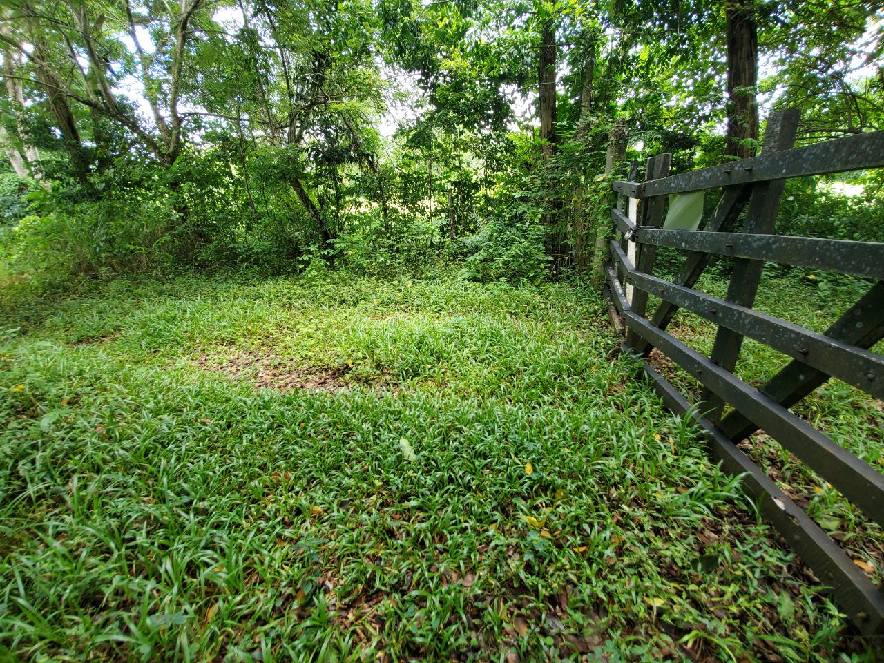 Stunning-50-Acre-Caribbean-Retreat-with-River-House-for-Sale Eighteenth image of 1 Industry Pen in St. Mary Country Club, St. Mary, Jamaica - property is For Sale