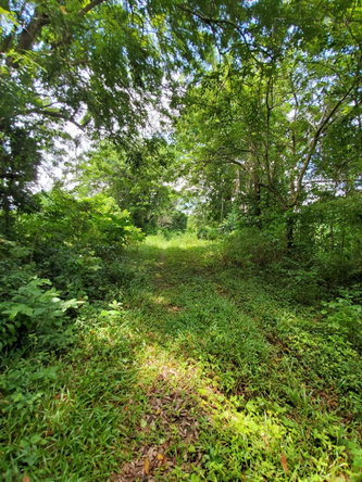 Nineteenth image of 1 Industry Pen in St. Mary Country Club, St. Mary, Jamaica - property is For Sale