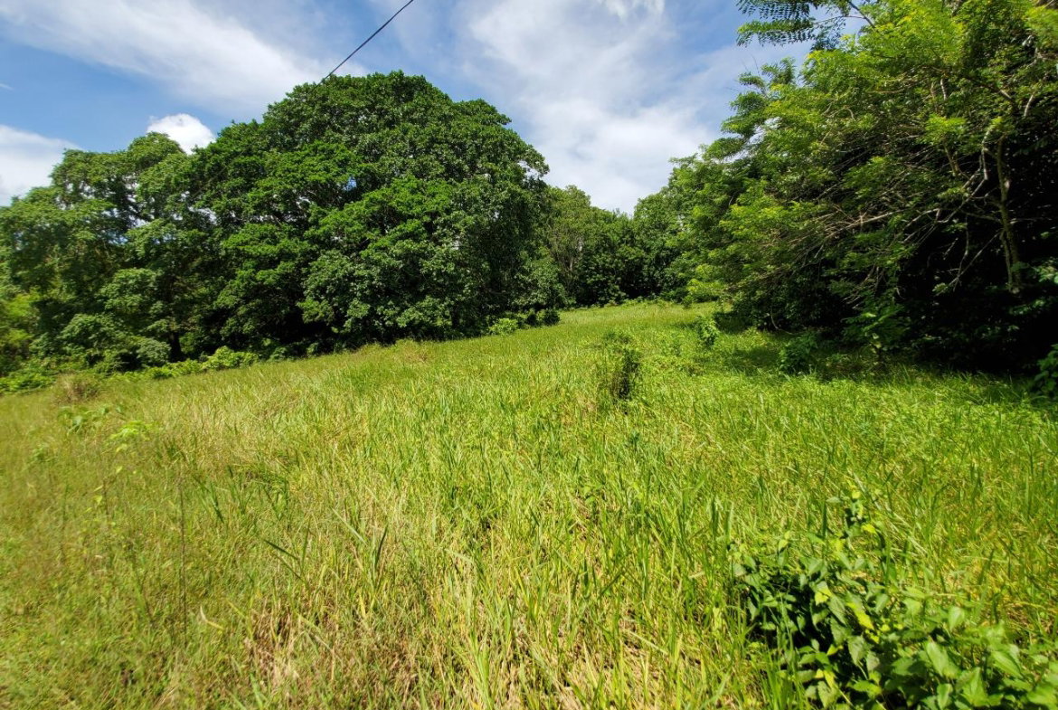 Twentieth image of 1 Industry Pen in St. Mary Country Club, St. Mary, Jamaica - property is For Sale