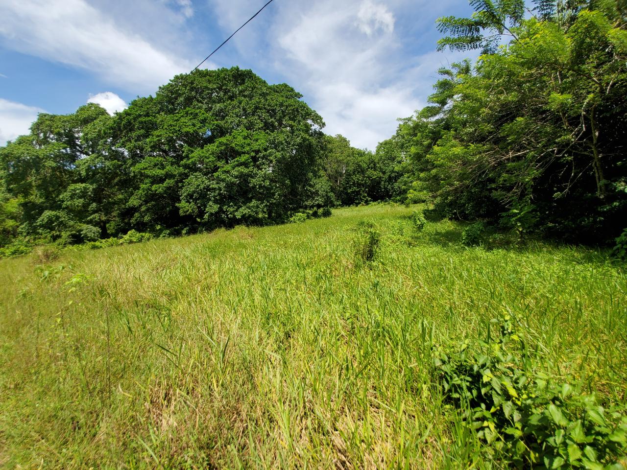 Stunning-50-Acre-Caribbean-Retreat-with-River-House-for-Sale Twentieth image of 1 Industry Pen in St. Mary Country Club, St. Mary, Jamaica - property is For Sale