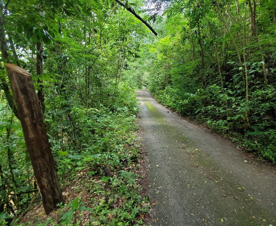 Third image of 1 Industry Pen in St. Mary Country Club, St. Mary, Jamaica - property is For Sale
