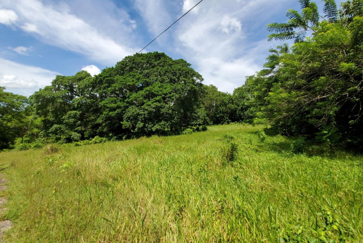 Twenty-First image of 1 Industry Pen in St. Mary Country Club, St. Mary, Jamaica - property is For Sale