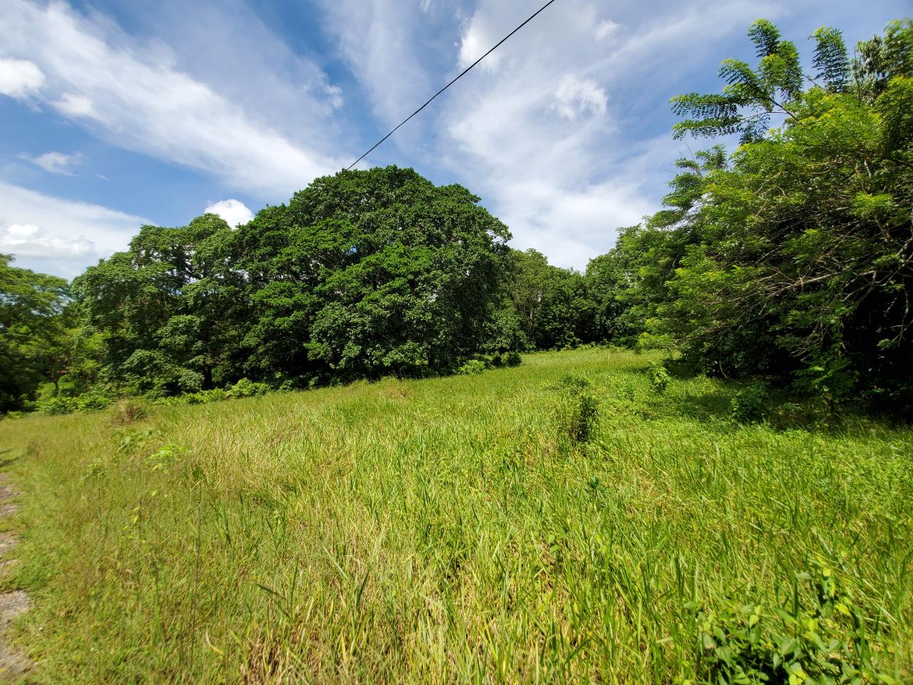Stunning-50-Acre-Caribbean-Retreat-with-River-House-for-Sale Twenty-First image of 1 Industry Pen in St. Mary Country Club, St. Mary, Jamaica - property is For Sale
