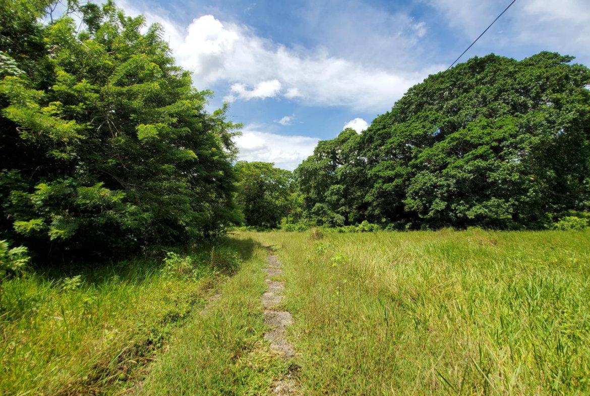 Twenty-Second image of 1 Industry Pen in St. Mary Country Club, St. Mary, Jamaica - property is For Sale