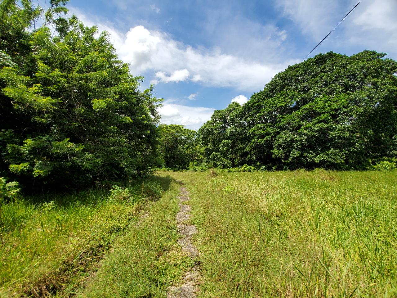 Stunning-50-Acre-Caribbean-Retreat-with-River-House-for-Sale Twenty-Second image of 1 Industry Pen in St. Mary Country Club, St. Mary, Jamaica - property is For Sale