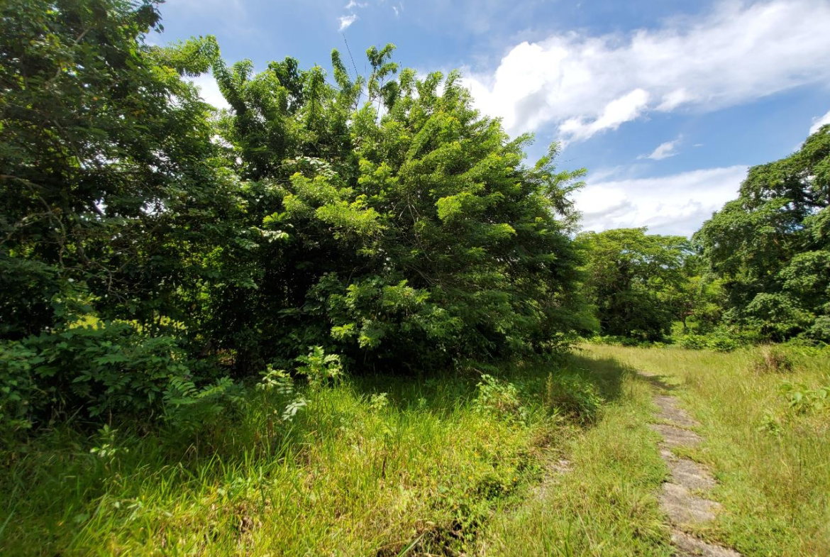 Twenty-Third image of 1 Industry Pen in St. Mary Country Club, St. Mary, Jamaica - property is For Sale