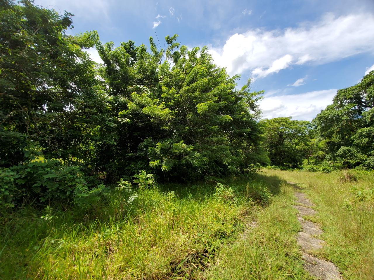 Stunning-50-Acre-Caribbean-Retreat-with-River-House-for-Sale Twenty-Third image of 1 Industry Pen in St. Mary Country Club, St. Mary, Jamaica - property is For Sale