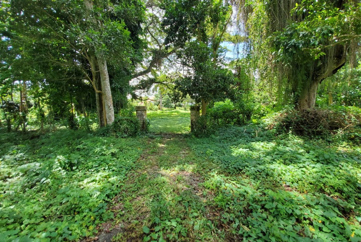 Twenty-Fourth image of 1 Industry Pen in St. Mary Country Club, St. Mary, Jamaica - property is For Sale