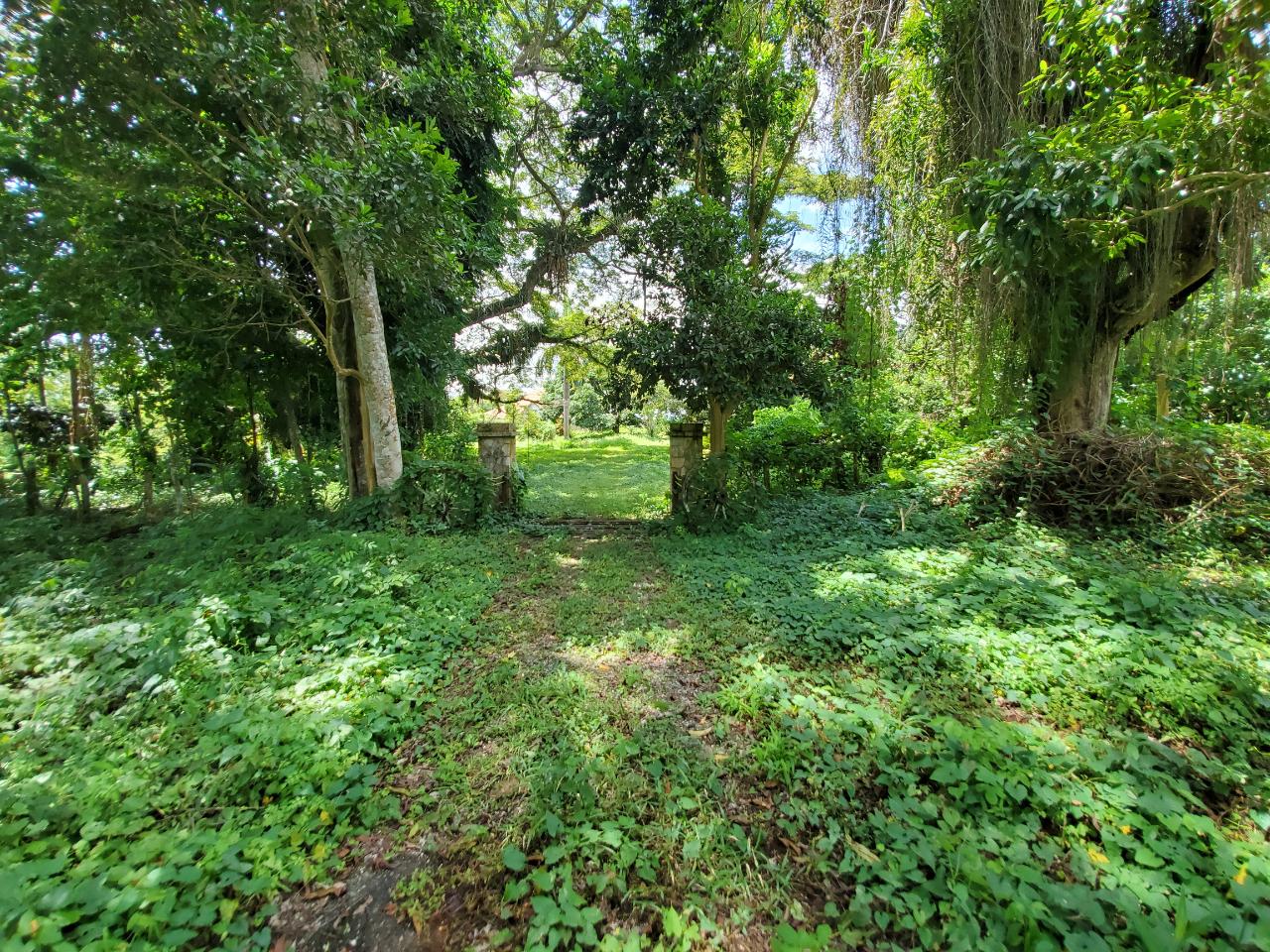 Stunning-50-Acre-Caribbean-Retreat-with-River-House-for-Sale Twenty-Fourth image of 1 Industry Pen in St. Mary Country Club, St. Mary, Jamaica - property is For Sale