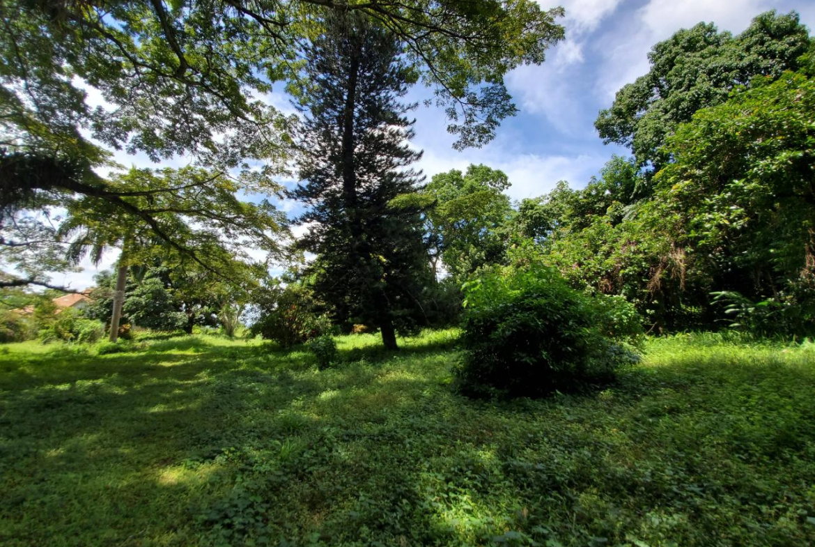 Twenty-Sixth image of 1 Industry Pen in St. Mary Country Club, St. Mary, Jamaica - property is For Sale
