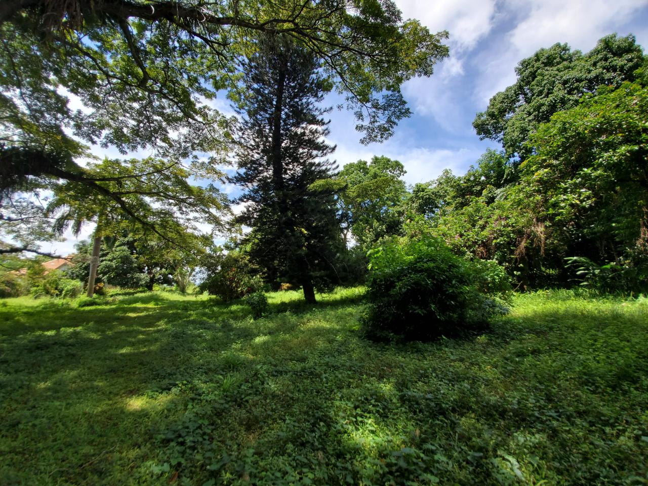 Stunning-50-Acre-Caribbean-Retreat-with-River-House-for-Sale Twenty-Sixth image of 1 Industry Pen in St. Mary Country Club, St. Mary, Jamaica - property is For Sale