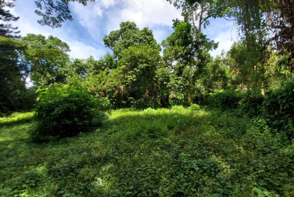 Twenty-Seventh image of 1 Industry Pen in St. Mary Country Club, St. Mary, Jamaica - property is For Sale