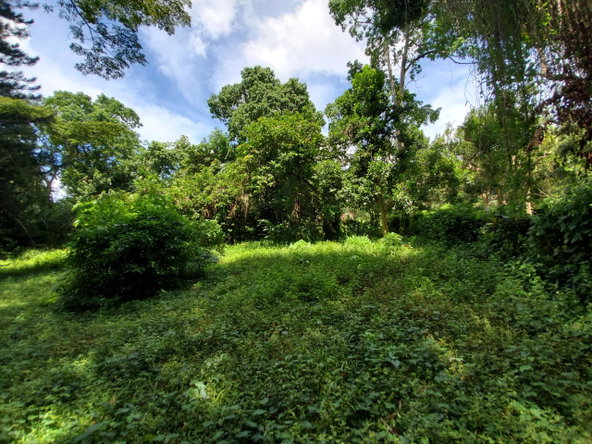 Twenty-Seventh image of 1 Industry Pen in St. Mary Country Club, St. Mary, Jamaica - property is For Sale