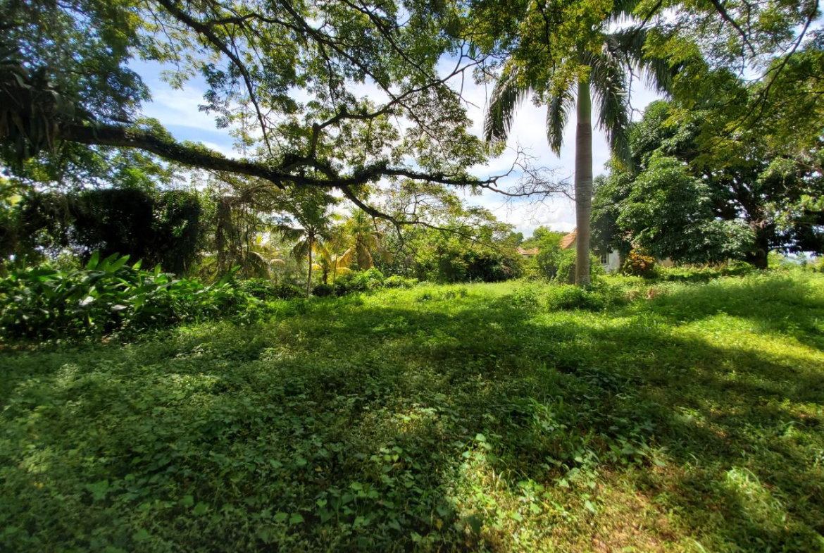 Twenty-Eighth image of 1 Industry Pen in St. Mary Country Club, St. Mary, Jamaica - property is For Sale
