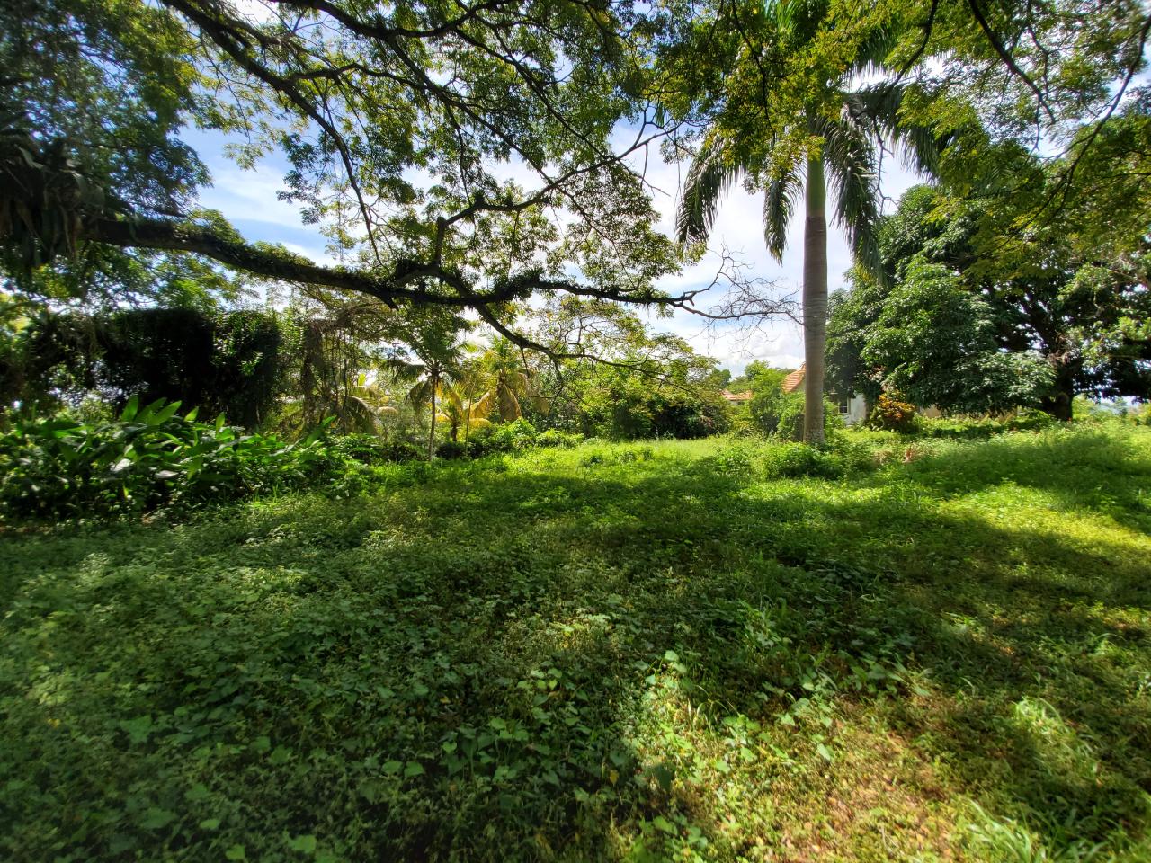 Stunning-50-Acre-Caribbean-Retreat-with-River-House-for-Sale Twenty-Eighth image of 1 Industry Pen in St. Mary Country Club, St. Mary, Jamaica - property is For Sale