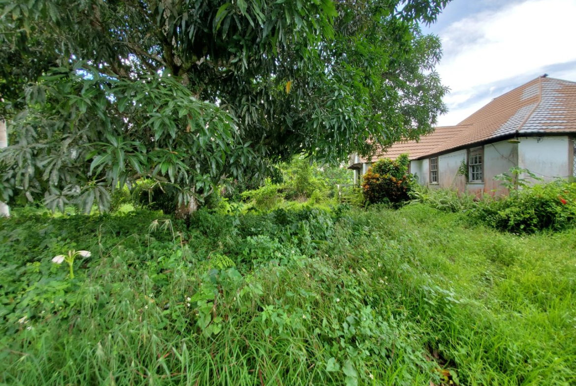 Thirtieth image of 1 Industry Pen in St. Mary Country Club, St. Mary, Jamaica - property is For Sale
