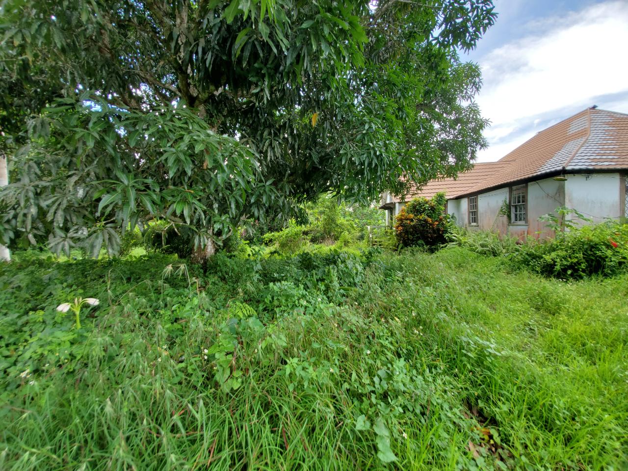 Stunning-50-Acre-Caribbean-Retreat-with-River-House-for-Sale Thirtieth image of 1 Industry Pen in St. Mary Country Club, St. Mary, Jamaica - property is For Sale