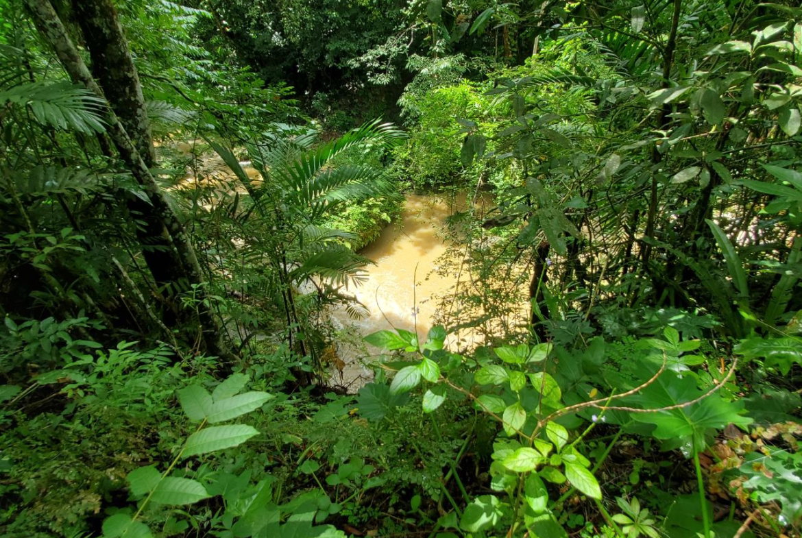 Tenth image of 1 Industry Pen in St. Mary Country Club, St. Mary, Jamaica - property is For Sale