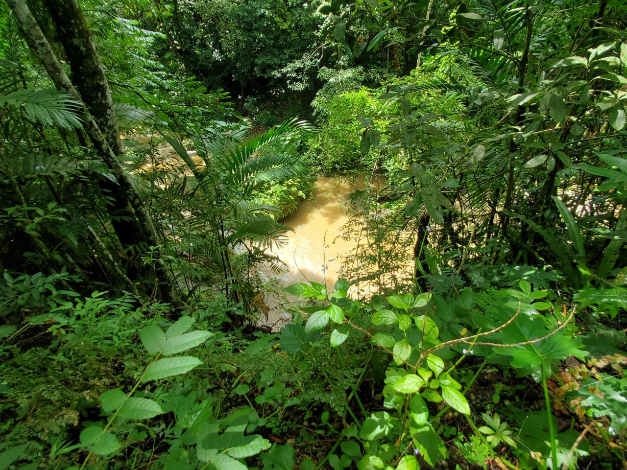 Stunning-50-Acre-Caribbean-Retreat-with-River-House-for-Sale Tenth image of 1 Industry Pen in St. Mary Country Club, St. Mary, Jamaica - property is For Sale