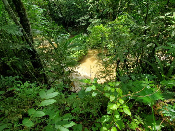 Tenth image of 1 Industry Pen in St. Mary Country Club, St. Mary, Jamaica - property is For Sale