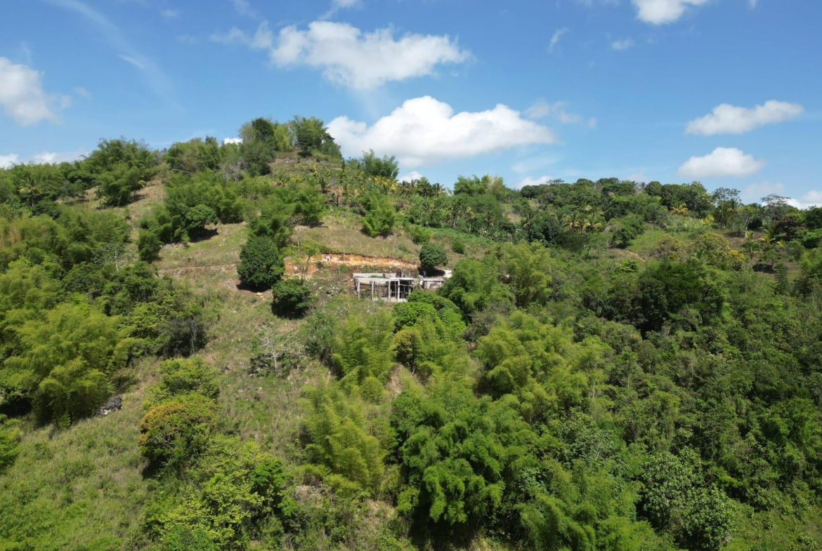 Second image of Spring Garden in Spring Garden, St. James, Jamaica - property is For Sale