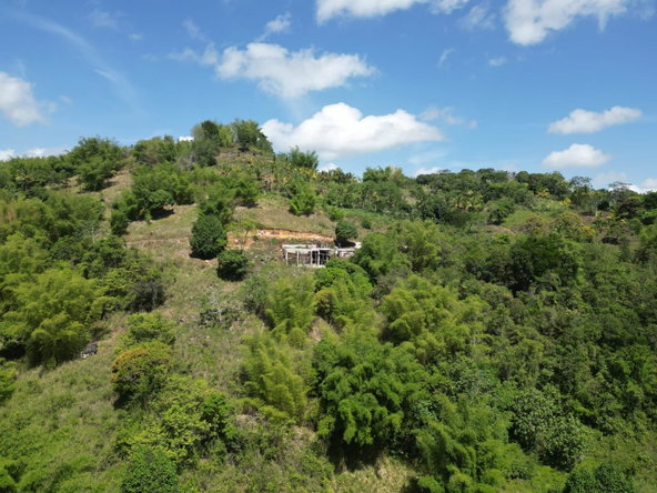 Second image of Spring Garden in Spring Garden, St. James, Jamaica - property is For Sale