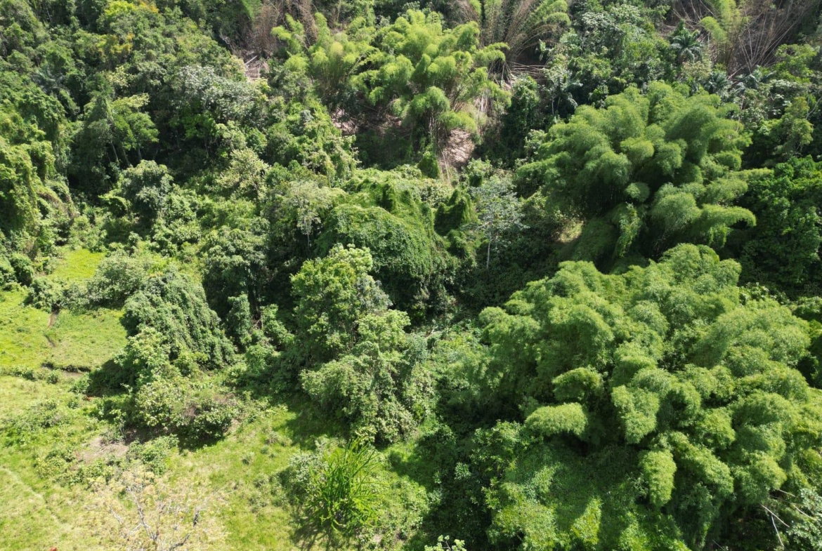 First image of Spring Garden in Spring Garden, St. James, Jamaica - property is For Sale