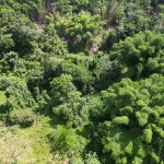 First image of Spring Garden in Spring Garden, St. James, Jamaica - property is For Sale