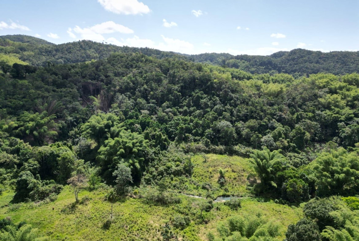Third image of Spring Garden in Spring Garden, St. James, Jamaica - property is For Sale
