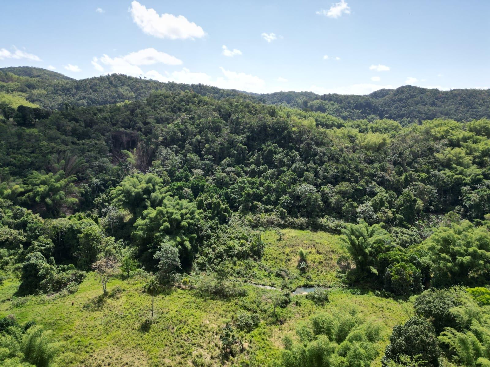 Third image of Spring Garden in Spring Garden, St. James, Jamaica - property is For Sale