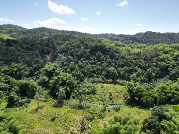 Third image of Spring Garden in Spring Garden, St. James, Jamaica - property is For Sale
