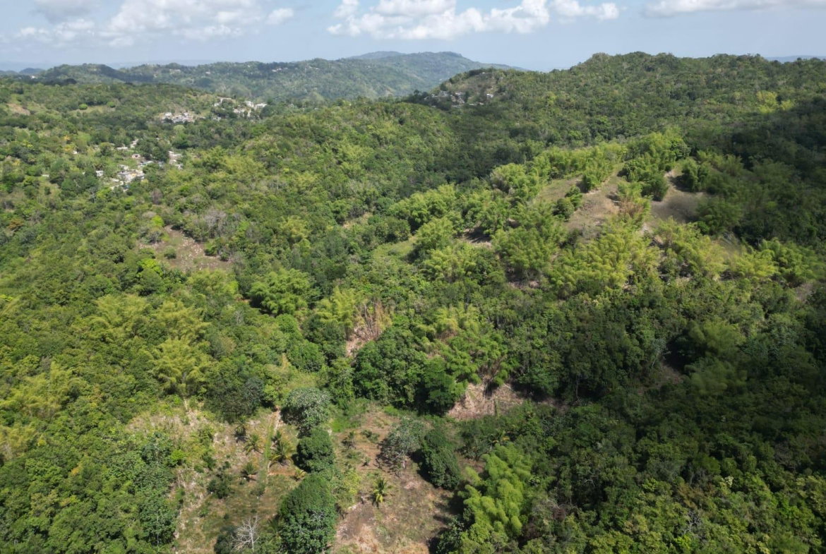 Sixth image of Spring Garden in Spring Garden, St. James, Jamaica - property is For Sale