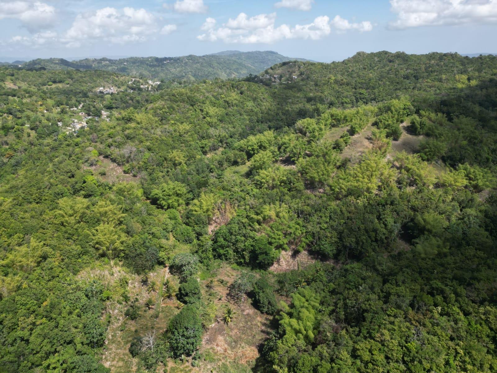 Sixth image of Spring Garden in Spring Garden, St. James, Jamaica - property is For Sale