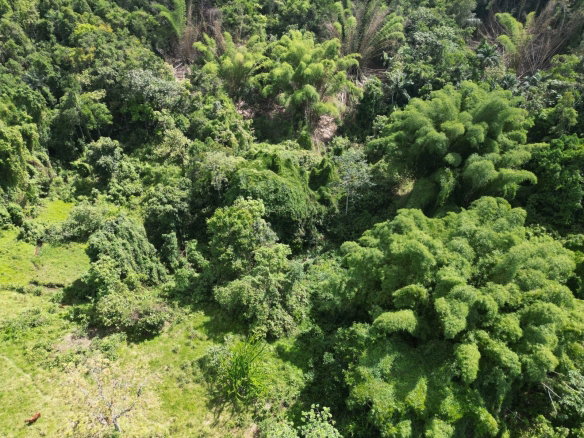 First image of Spring Garden in Spring Garden, St. James, Jamaica - property is For Sale