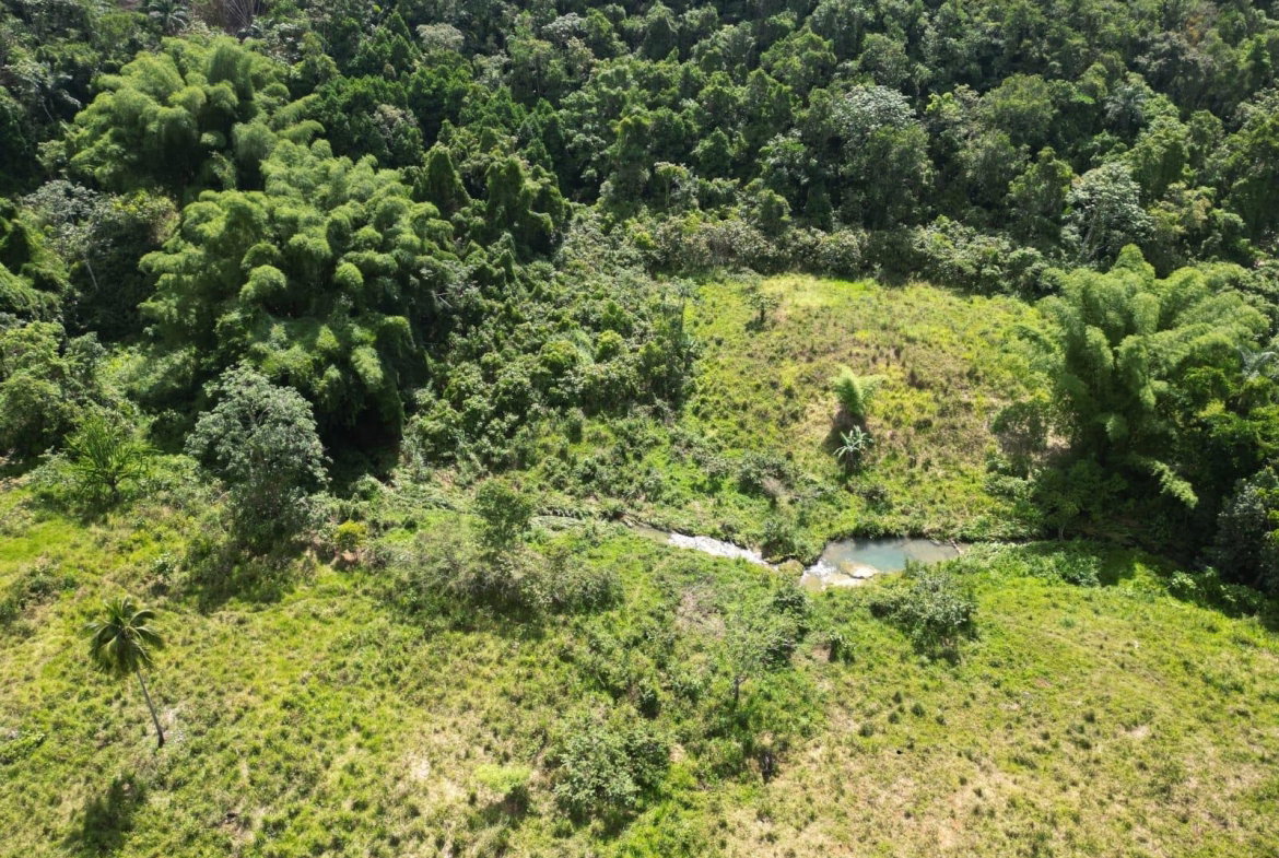 Seventh image of Spring Garden in Spring Garden, St. James, Jamaica - property is For Sale