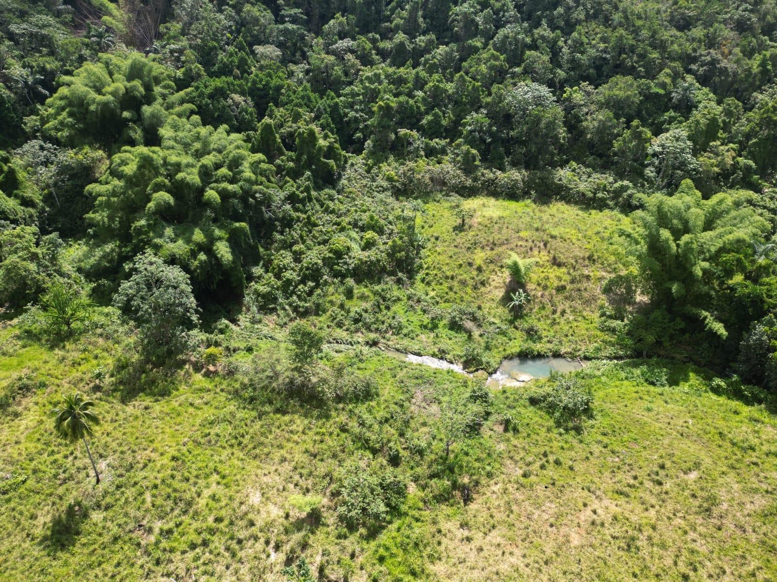 Seventh image of Spring Garden in Spring Garden, St. James, Jamaica - property is For Sale