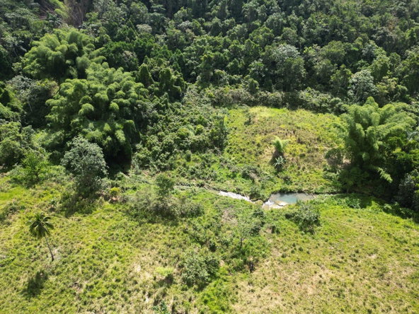 Seventh image of Spring Garden in Spring Garden, St. James, Jamaica - property is For Sale