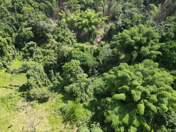 First image of Spring Garden in Spring Garden, St. James, Jamaica - property is For Sale