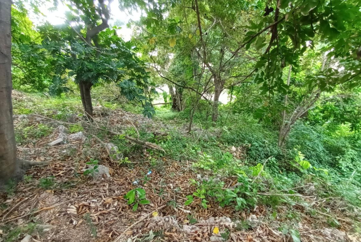 Twenty-Eighth image of 35 West Great House Circle in CONSTANT SPRING, St. Andrew, Jamaica - property is For Sale