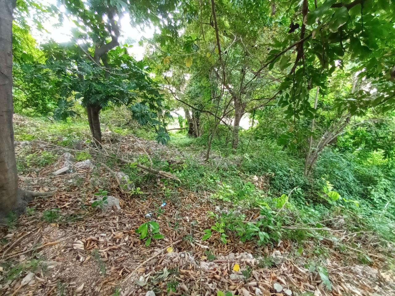 Twenty-Eighth image of 35 West Great House Circle in CONSTANT SPRING, St. Andrew, Jamaica - property is For Sale