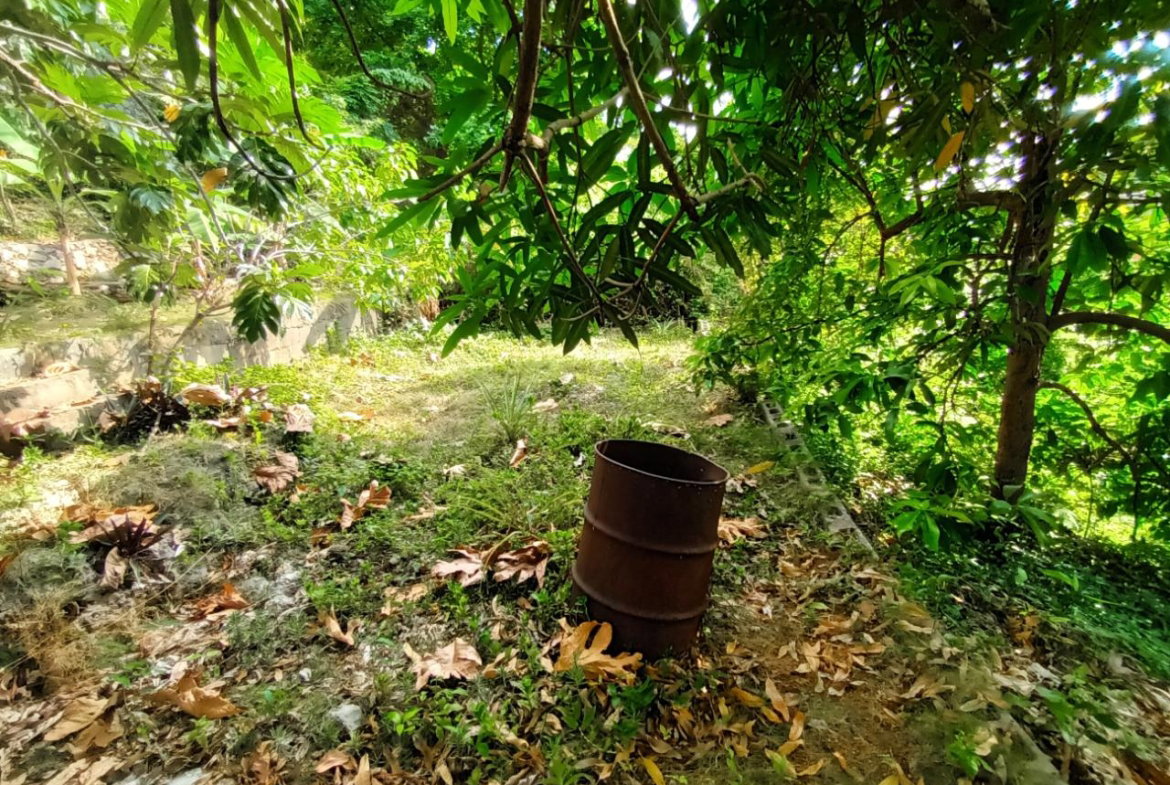 Thirtieth image of 35 West Great House Circle in CONSTANT SPRING, St. Andrew, Jamaica - property is For Sale