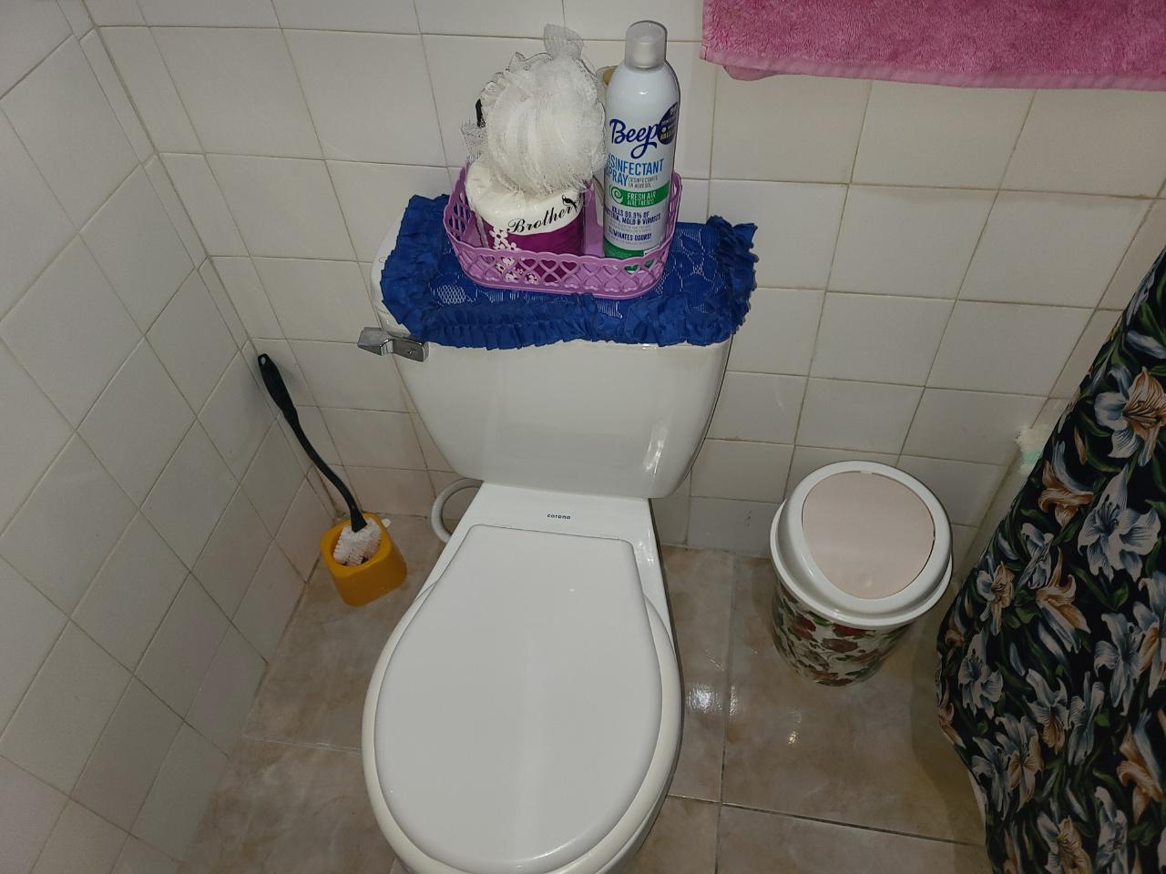 Thirtieth image of 67- Greenwich Park in Ocho Rios, St. Ann, Jamaica - property is For Sale