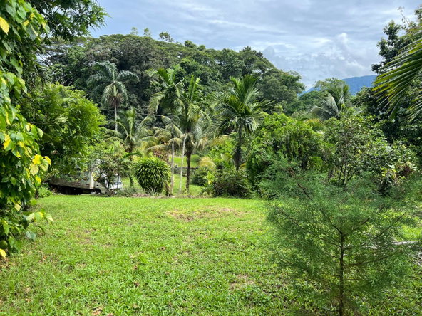 Eleventh image of Lot 12 Rocky View Golden Spri in Kingston 9, St. Andrew, Jamaica - property is For Sale