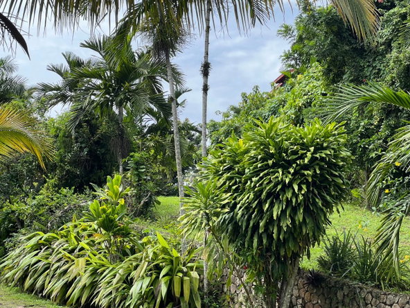 Seventh image of Lot 12 Rocky View Golden Spri in Kingston 9, St. Andrew, Jamaica - property is For Sale