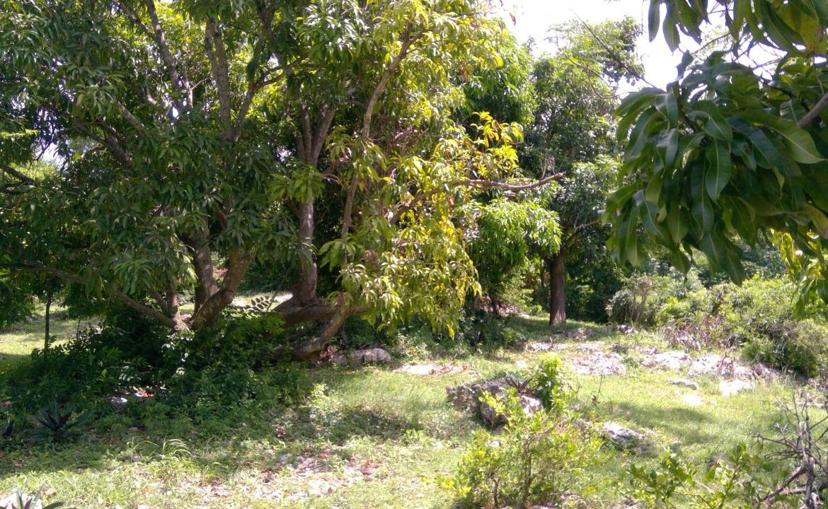 Twenty-Fifth image of Lot 387 Bamboo Drive Greenwood in Montego Bay, St. James, Jamaica - property is For Sale