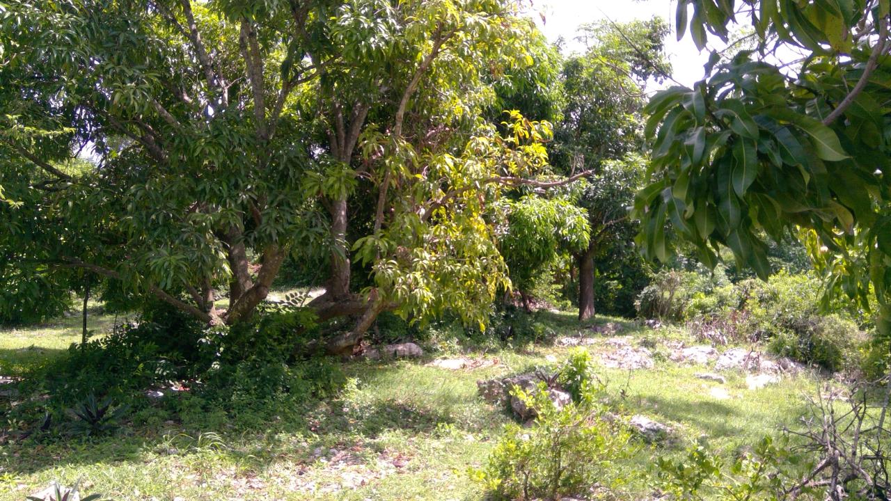 Twenty-Fifth image of Lot 387 Bamboo Drive Greenwood in Montego Bay, St. James, Jamaica - property is For Sale