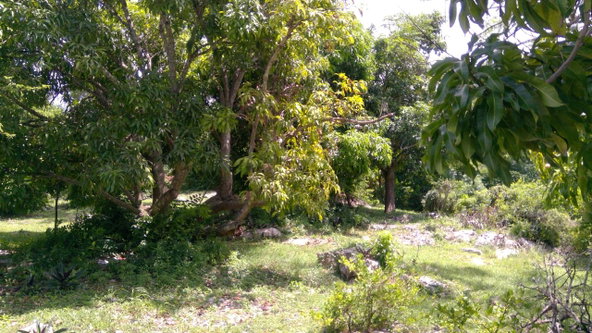 Twenty-Fifth image of Lot 387 Bamboo Drive Greenwood in Montego Bay, St. James, Jamaica - property is For Sale