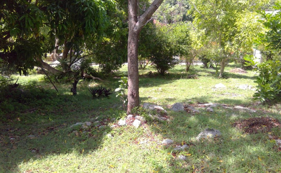 Twenty-Sixth image of Lot 387 Bamboo Drive Greenwood in Montego Bay, St. James, Jamaica - property is For Sale