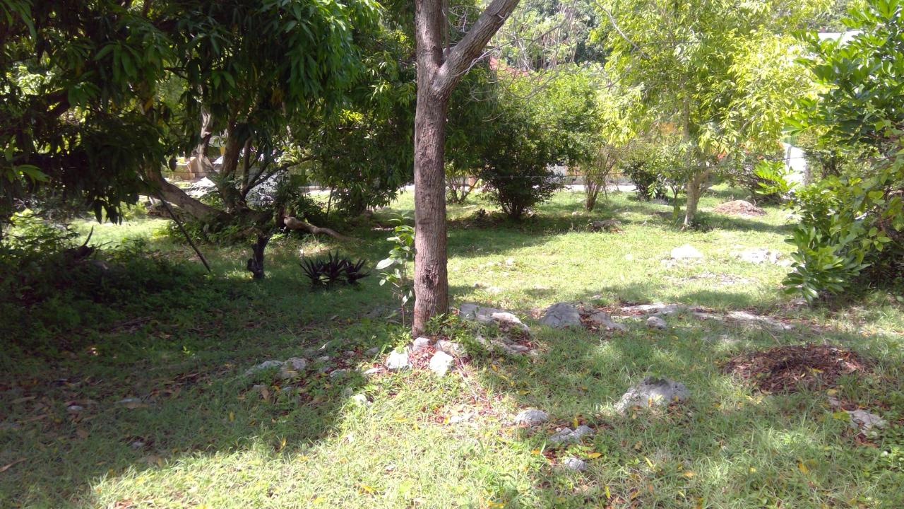 Twenty-Sixth image of Lot 387 Bamboo Drive Greenwood in Montego Bay, St. James, Jamaica - property is For Sale