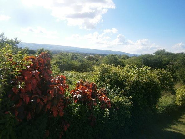 Third image of Lot 1 Montpelier Crescent in Junction, St. Elizabeth, Jamaica - property is For Sale